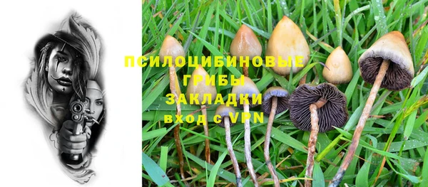 бошки Бородино