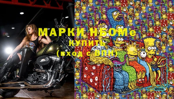 бошки Бородино