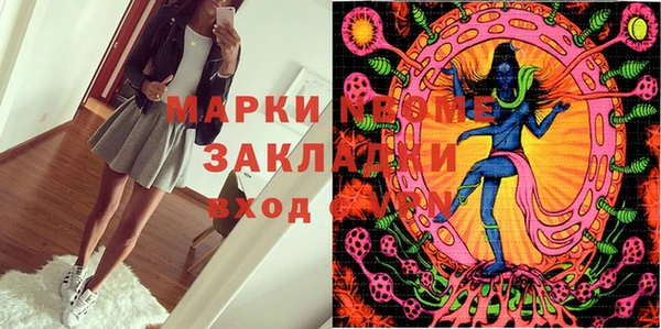 бошки Бородино